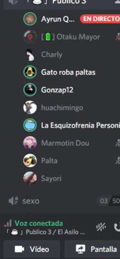 Esquizofrenico vs Chilenos