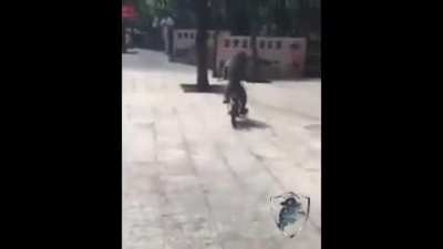 un mono rian
