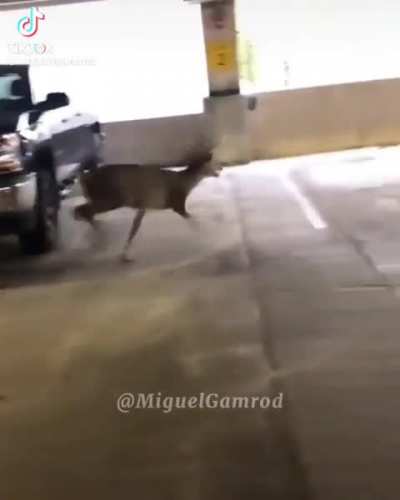 .....