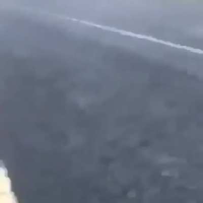 Guy throws gator into the lake