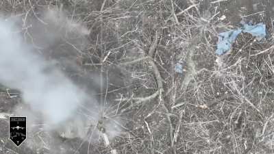 Russian Soldiers hit by Ukrainian Drone Dropped Munitions. By 1st Assault Battalion, 92nd Brigade. Ukraine, Bakhmut Direction. 2024.