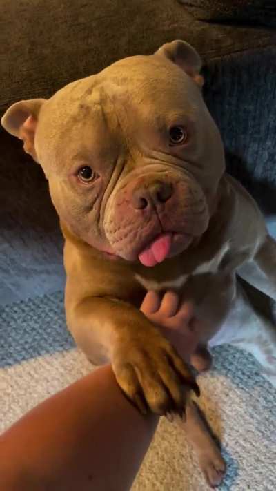 Cute and lovely
