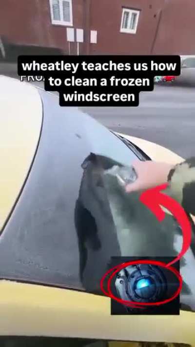 Moron