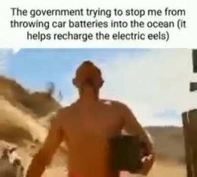 I save animal