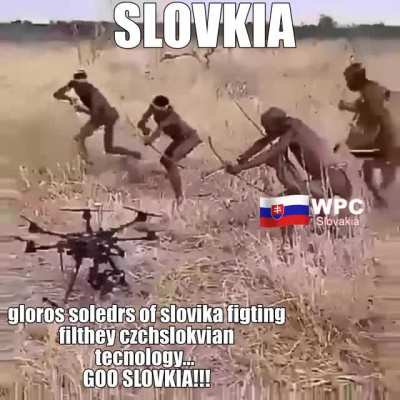 slovakja 💪🇸🇰