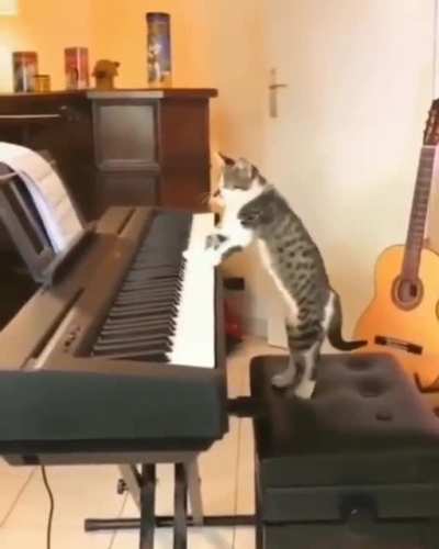 Meow. DRE