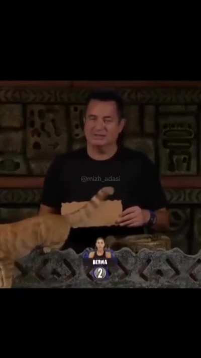 hay anani
