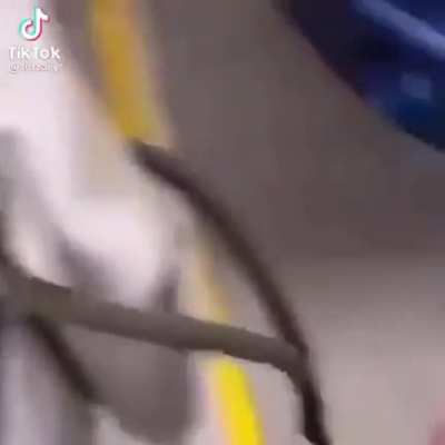 simplemente un perro carro