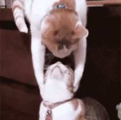 Unexpected Kiss .