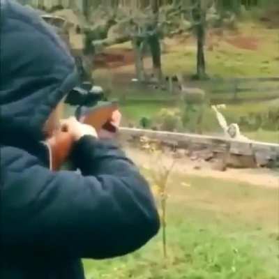 deadly accuracy