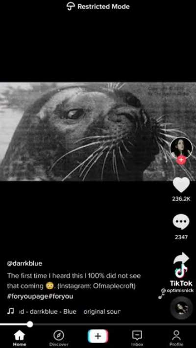 A seal is talking
