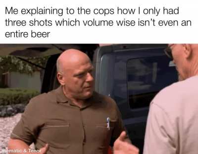 Goddamn police state
