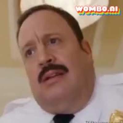 Paulblartmallcop