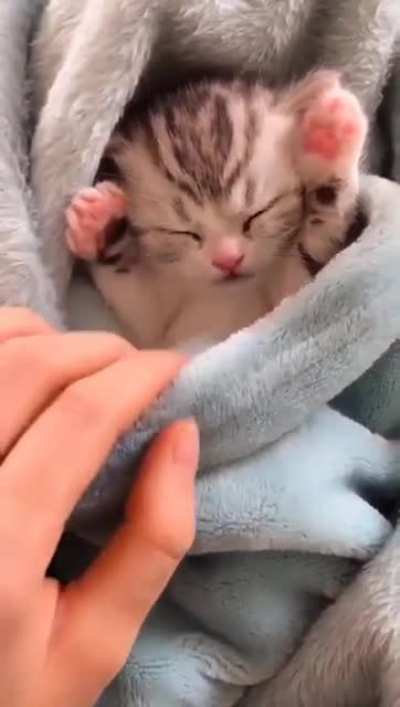 Немного милоты