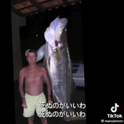 Vc sabe japones???