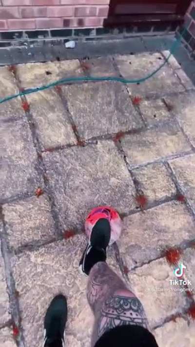 Not so much a public freak out...but a doggo freak out