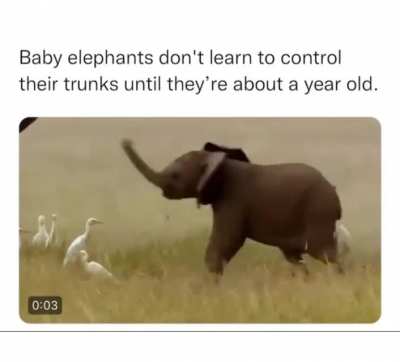will make you smile