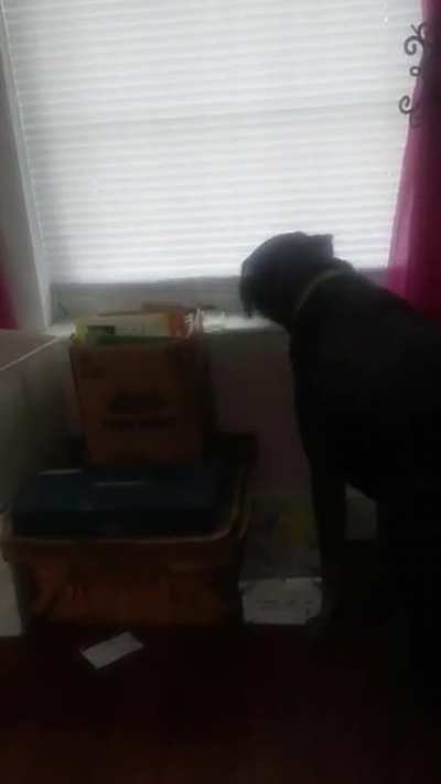 To keep the blinds closed