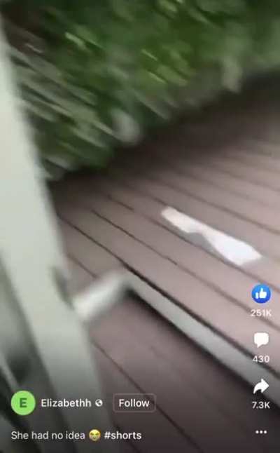 A fan.