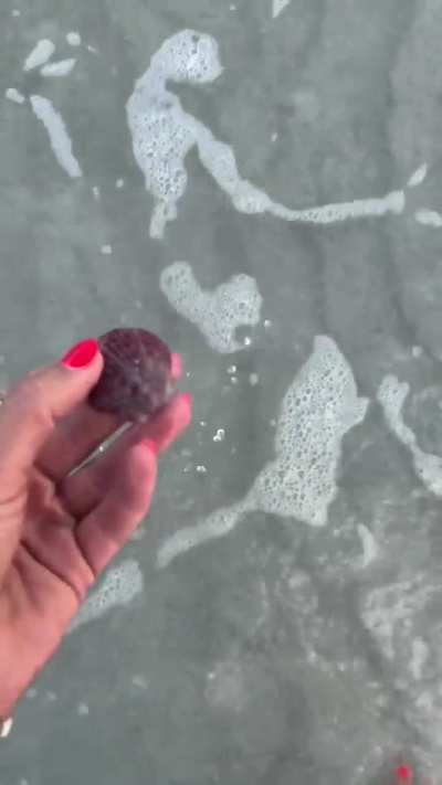 At the beach