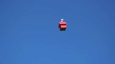 Snoopy, The guardian of the skies