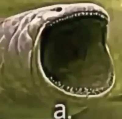 a.