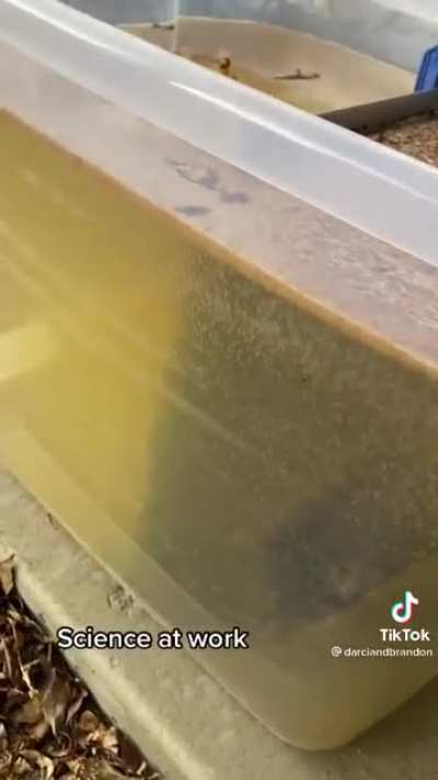 Using electricity to clean old crusty cast iron pans. Gross, yet interesting.