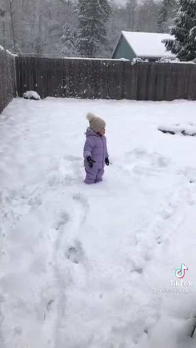 snow days