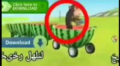 😳🐵