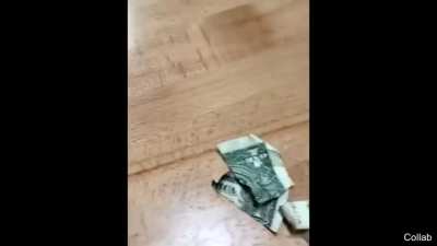 Thankfully it was only a $1 dollar bill