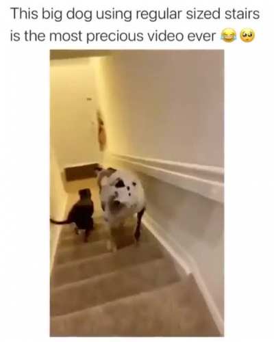 Walking down the stairs