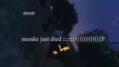 Sad monke movie 😭😭🐿🐿👏<wbr>👏😭😭😭😔<wbr>😣😣😣😔😔<wbr>😣😣 and funny haha lol jke jccjx<wbr>jcjjc<wbr>cjdjd hehe funny garfield sex 😢🧐😡🧐🧐<wbr>🧐🧐😭😛😭<wbr>🤯😋😋😓🧐<wbr>😱😏🤯😤🤬<wbr>🤨🥶😋