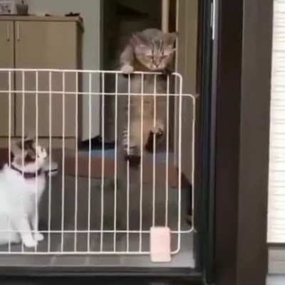 You can do it friend!