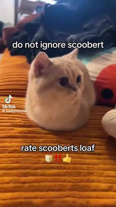 Wunky loaf