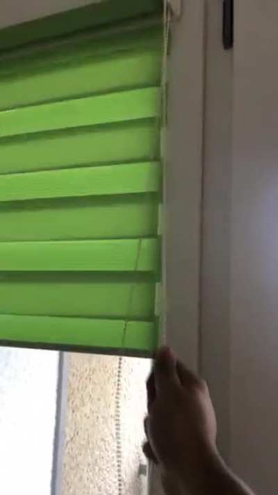 What is this called in German and where I can buy them?