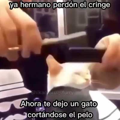 Momento cringe ._.