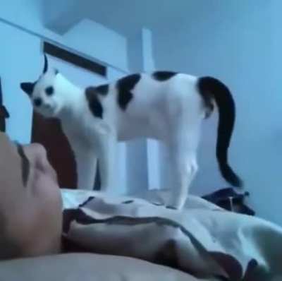 Wake up .. Feed me!