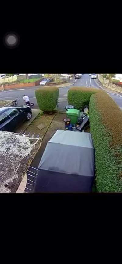 fat ahh lil nigga don’t know where the brakes at😂