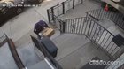 Fedex impersonator tie up and robs family