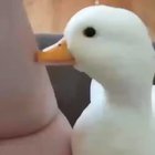 These made me happy !!!!!