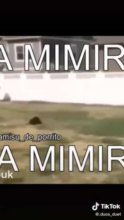 A Mimir 😴