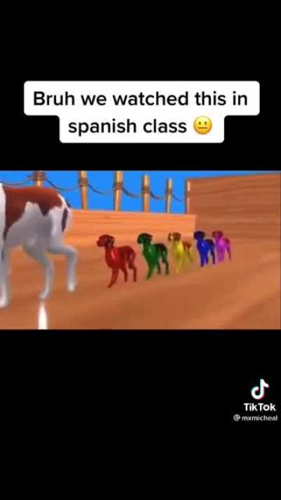 Gato