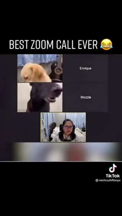 Just another meeting