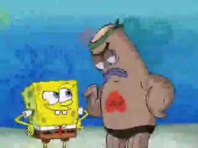 fard sponge