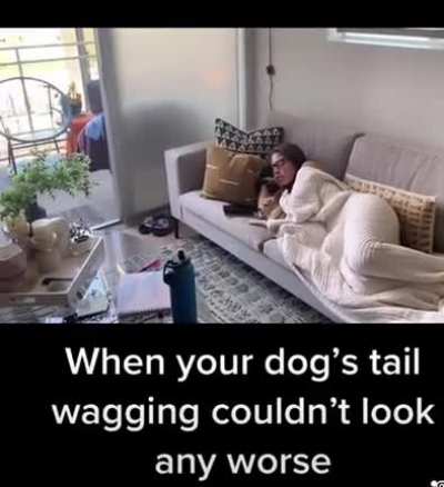 The wagging dog