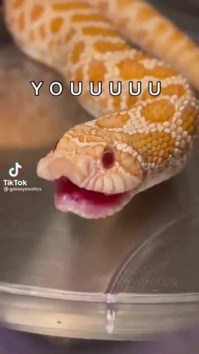 Day 9