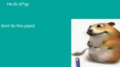 Top 10 hampter