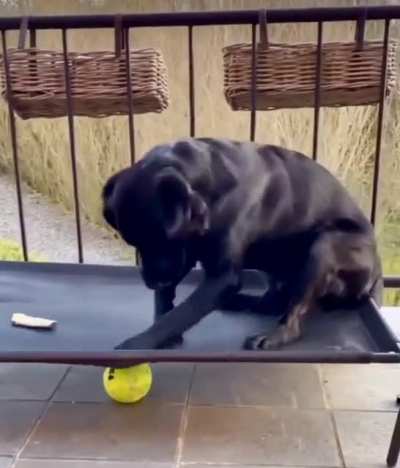 Life’s Hard