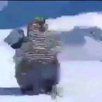 🐧