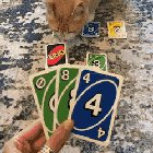 Quarantine Day ??: Uno